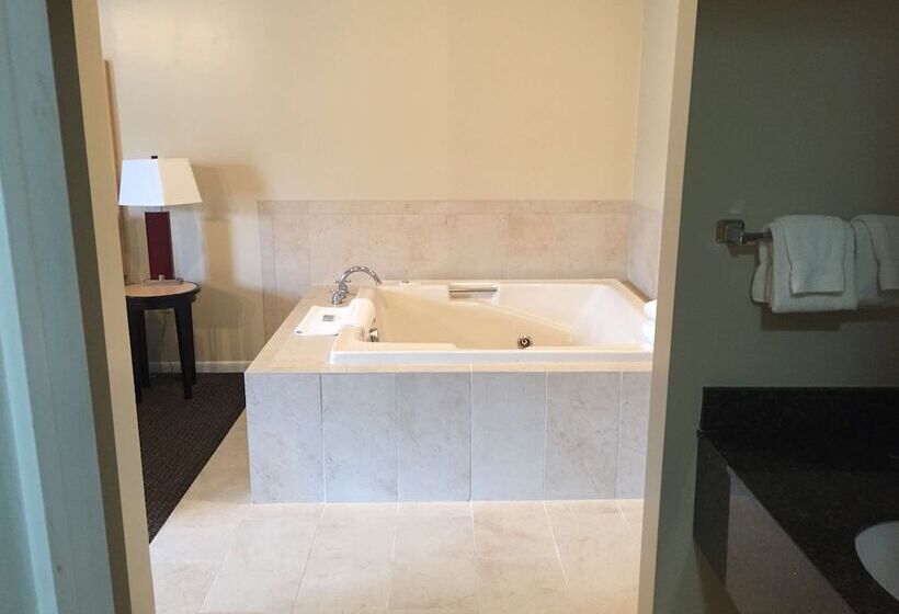 Номер Стандарт Двуспальная Кровать, Best Western River Terrace