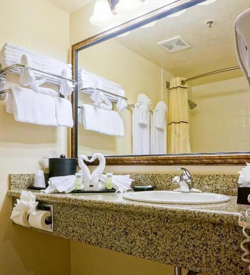 StandaardKamer, Castle Inn And Suites Anaheim