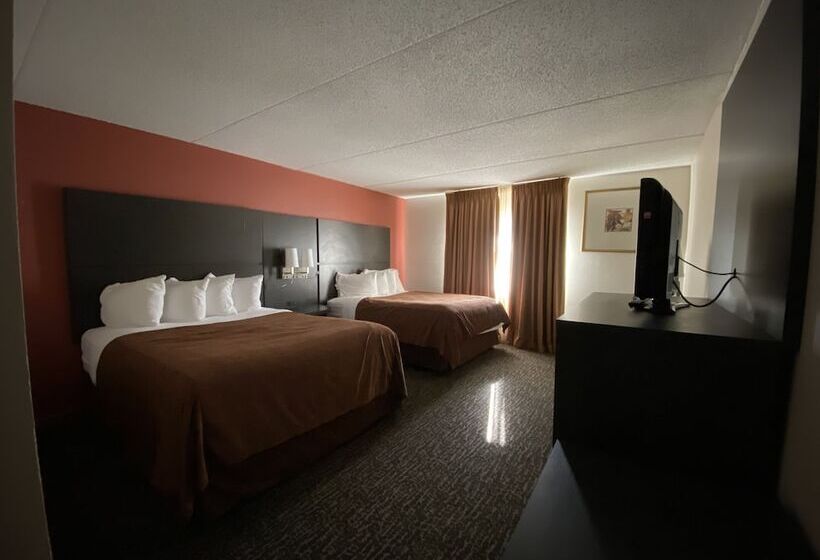 高级大房间, Chicago Club Inn & Suite