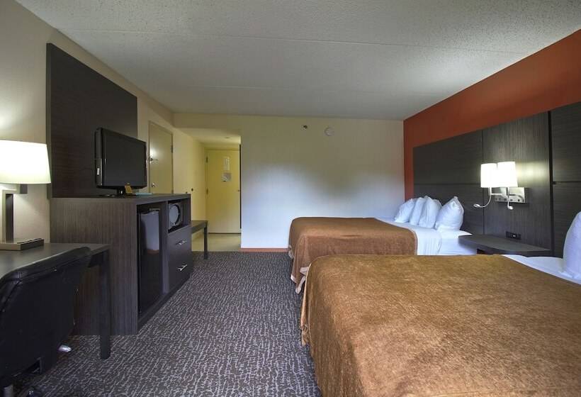 高级大房间, Chicago Club Inn & Suite