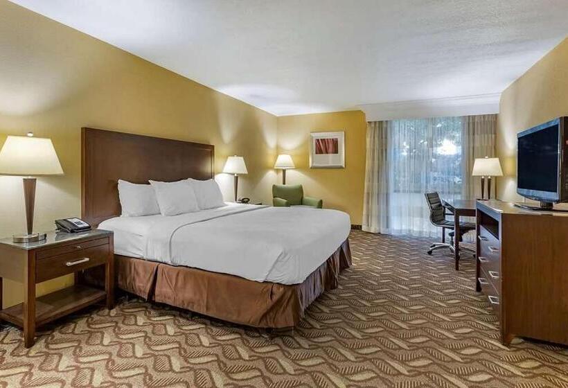 Стандартный Номер Кровать Кинг, Clarion Inn & Suites