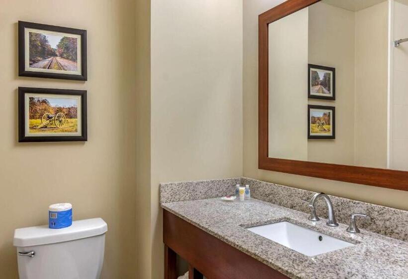 스탠다드 룸 킹사이즈 침대, Comfort Inn Petersburg Near Fort Greggadams