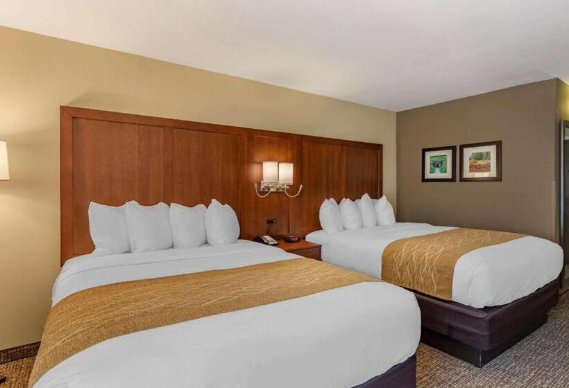 스탠다드 룸, Comfort Inn Petersburg Near Fort Greggadams