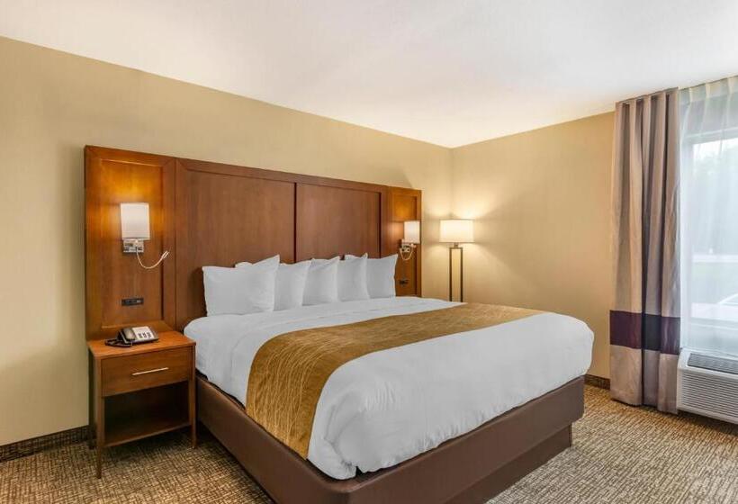 장애인을 위한 킹사이즈 침대 스탠다드 룸, Comfort Inn Petersburg Near Fort Greggadams
