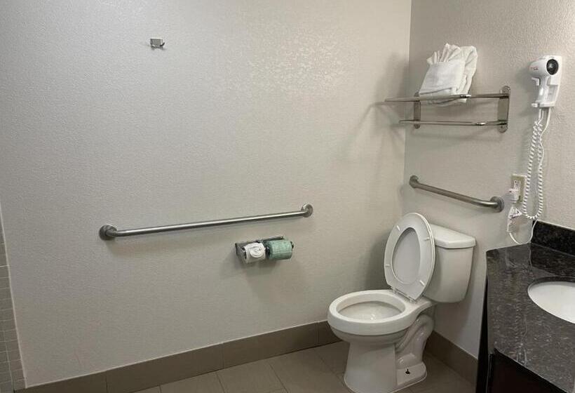 Номер Стандарт Адаптированный для Инвалидов, Comfort Inn Downtown Charleston