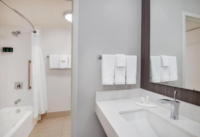 Camera Standard, Courtyard By Marriott Birmingham Homewood