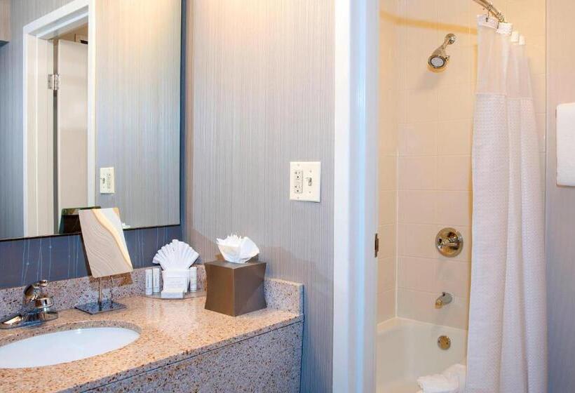 Suite Llit King, Courtyard Chicago Glenview/northbrook