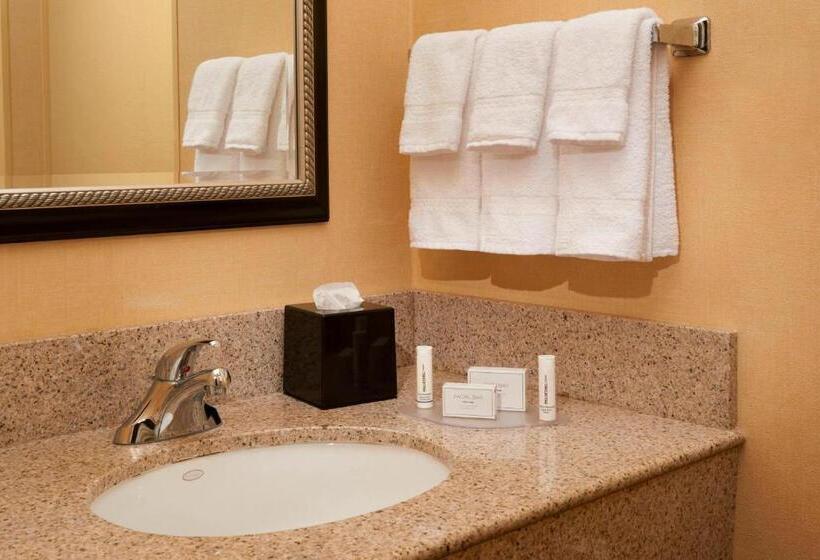 Стандартный Номер Кровать Кинг, Courtyard Toledo Airport Holland