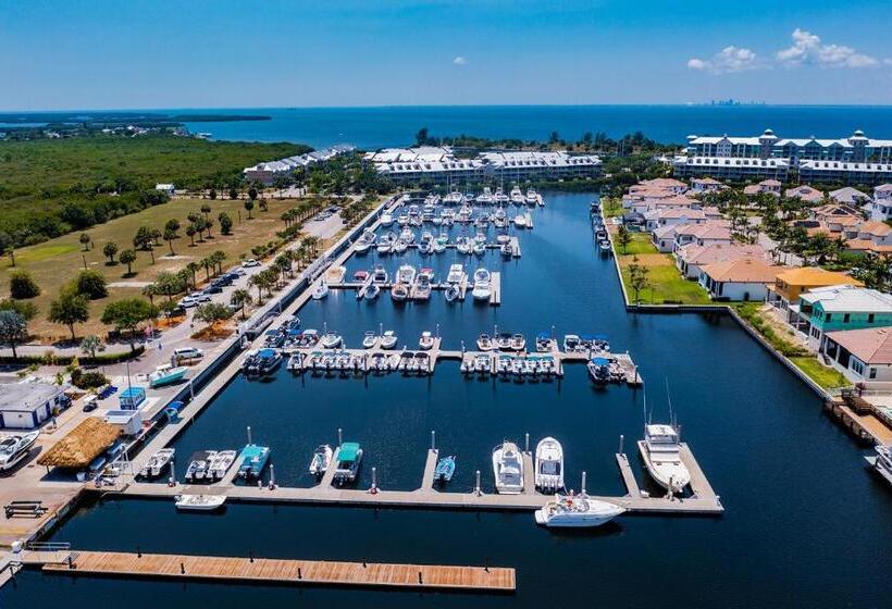 Студия Стандарт Вид на Море, Tampa Bay, Beach Step Away, Wifi, Free Parking,pools, Jacuzzi