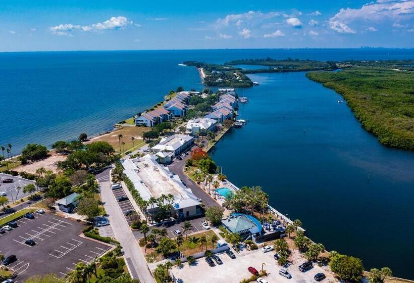 Студия Стандарт Вид на Море, Tampa Bay, Beach Step Away, Wifi, Free Parking,pools, Jacuzzi