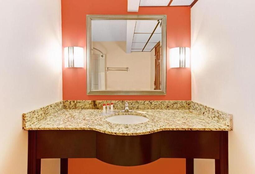 Deluxe Kamer met Kingsize Bed, Ramada By Wyndham Murfreesboro