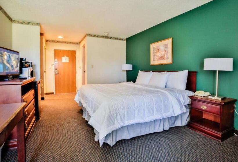 스탠다드 룸 킹사이즈 침대, The View Inn & Suites Bethlehem / Allentown / Lehigh Airport