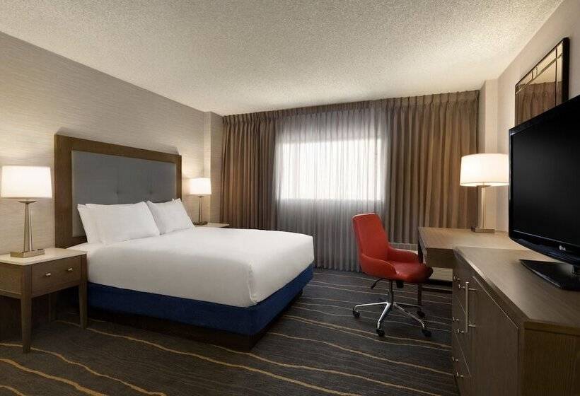 Студия Стандарт, Doubletree By Hilton Hotel Albuquerque