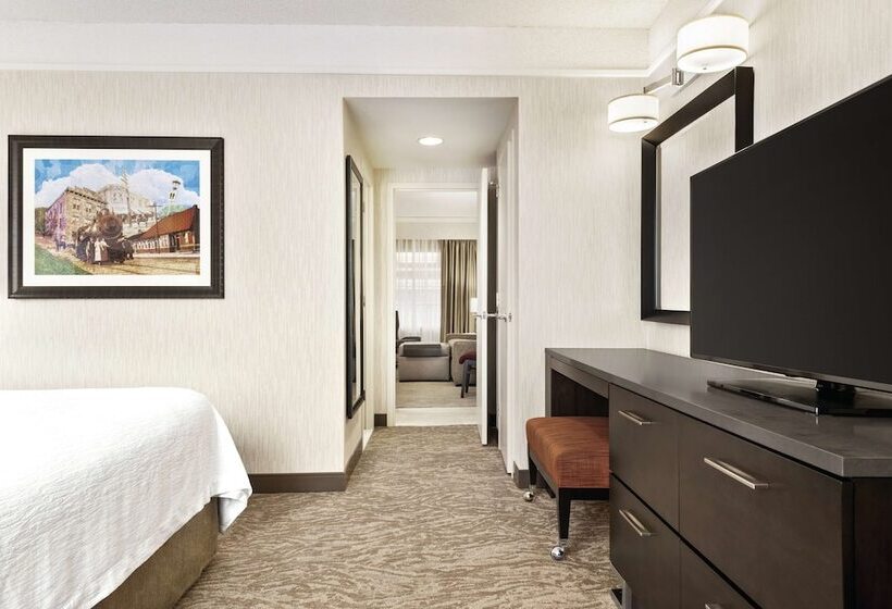 Люкс, Embassy Suites By Hilton Chicago North Shore Deerfield