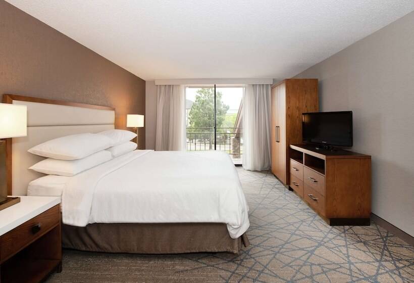سوییت, Embassy Suites By Hilton Colorado Springs