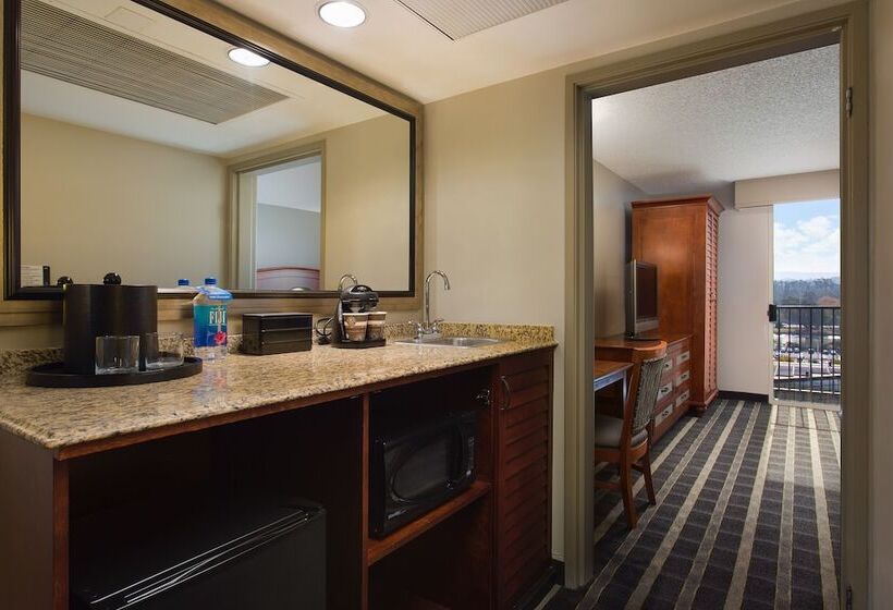 Standaardkamer met Tweepersoonsbed, Embassy Suites By Hilton San Francisco Airport Waterfront
