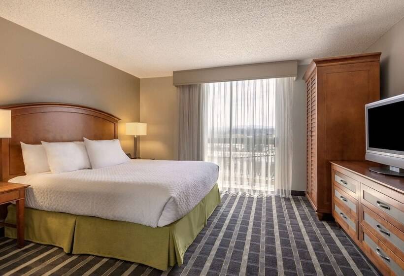Suite, Embassy Suites By Hilton San Francisco Airport Waterfront