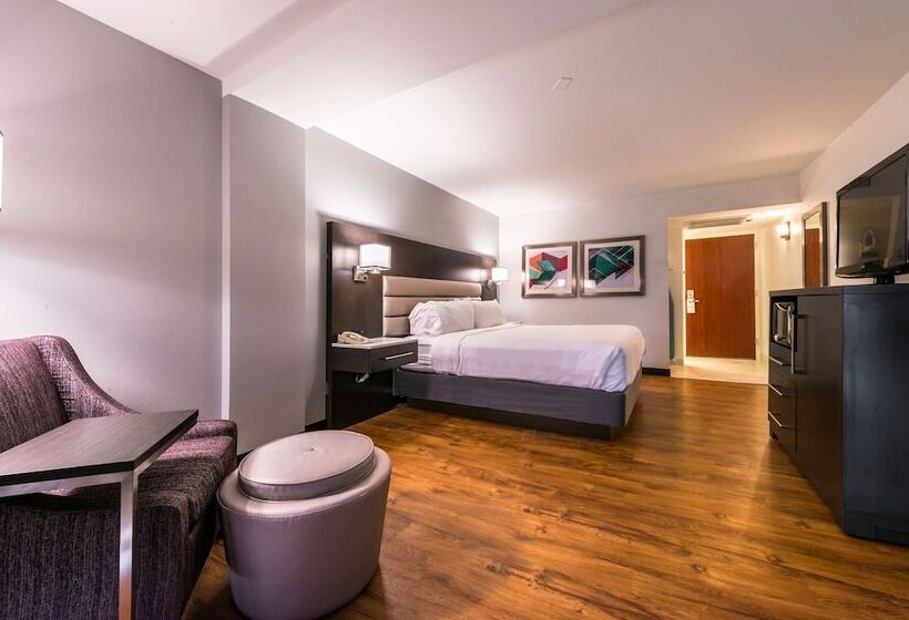 스탠다드 룸, Holiday Inn Hotel And Suites Beaumont Plaza I 10 & Walden, An Ihg