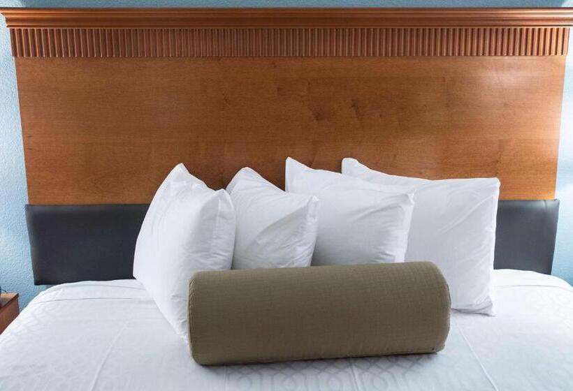 اتاق استاندارد برای معلولان, The Hotel At Dayton South