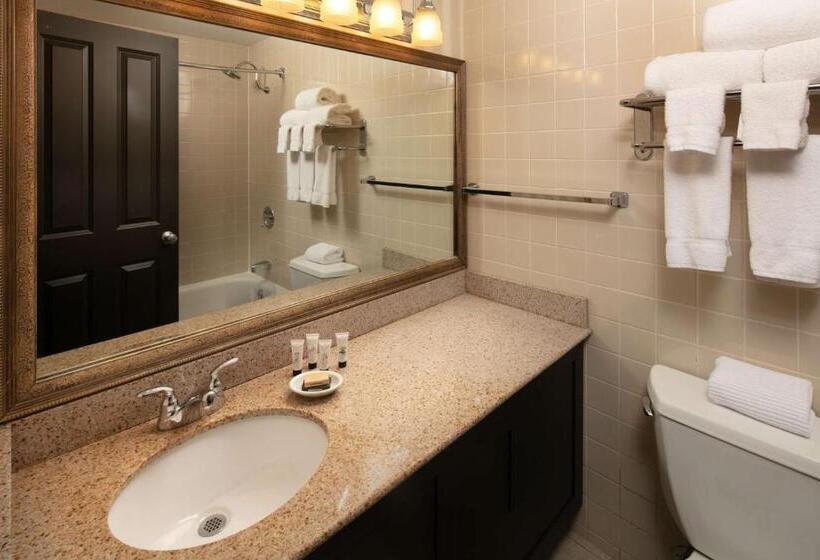 Номер Стандарт 2 Двуспальные Кровати, Red Lion Hotel Bellevue