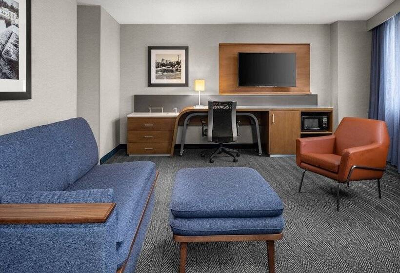 스위트, Courtyard By Marriott Minneapolis Downtown