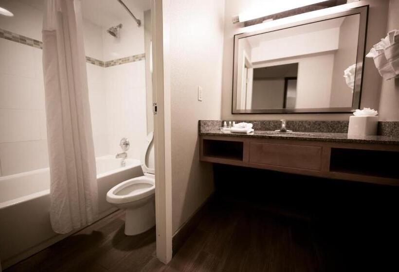 Номер Стандарт Адаптированный для Инвалидов, Holiday Inn Raleigh Downtown, An Ihg