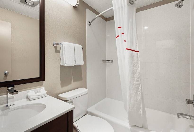 高级大房间, Red Roof Inn Norwich