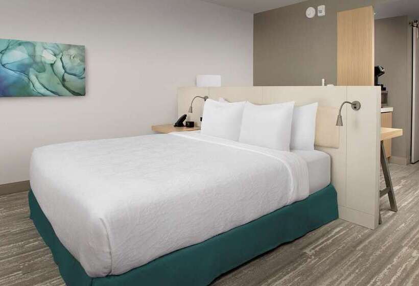 חדר דחוקס עם מיטת קינג, Hilton Garden Inn Knoxville Papermill Drive