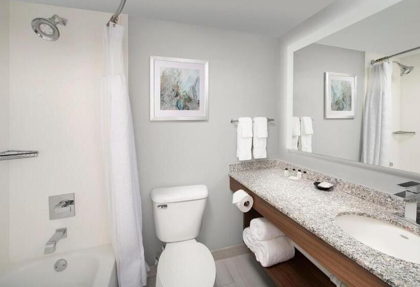 Habitació Premium, Crowne Plaza San Antonio Airport By Ihg