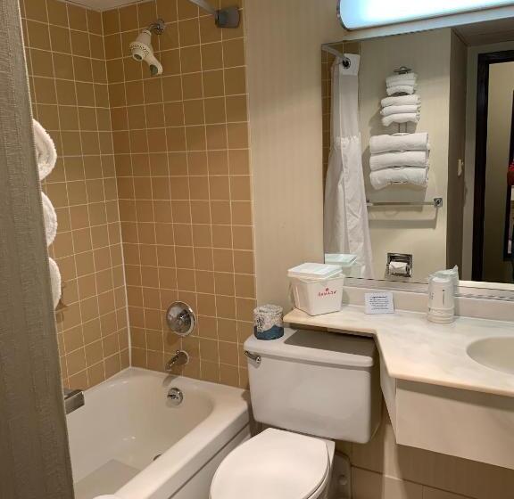 수피리어 스위트, Ramada By Wyndham Marquette