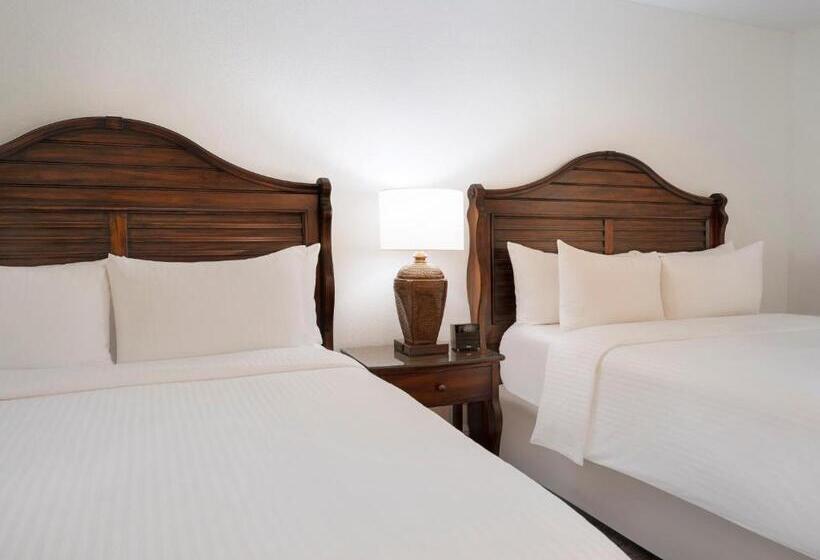 套房, Saddlebrook Golf Resort & Spa Tampa North Wesley Chapel