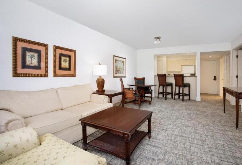 高级套房, Saddlebrook Golf Resort & Spa Tampa North Wesley Chapel