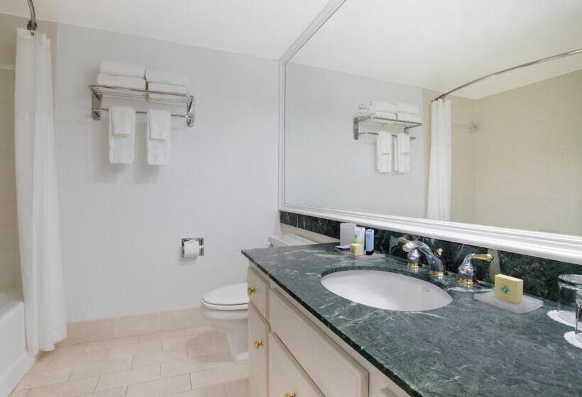 标准间, Saddlebrook Golf Resort & Spa Tampa North Wesley Chapel