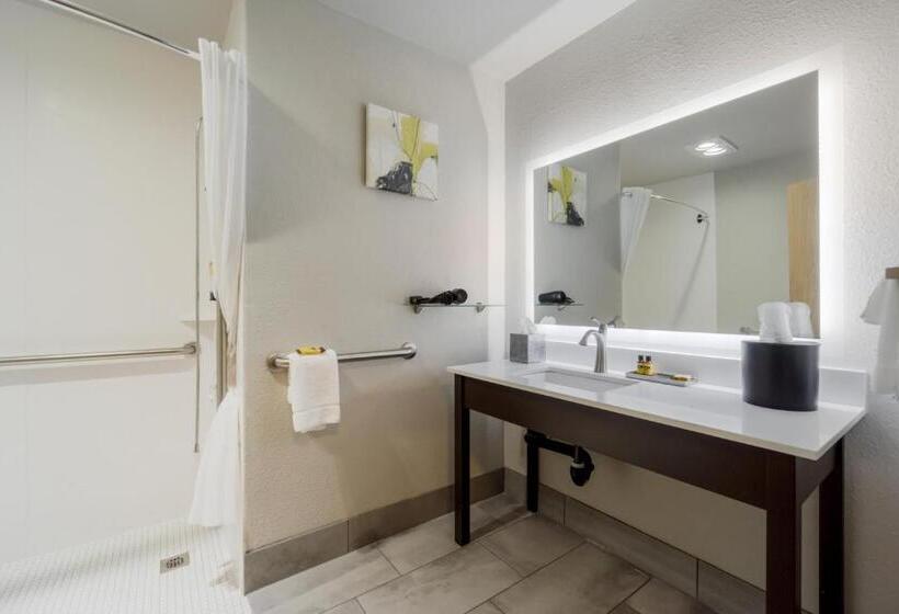 Номер Стандарт Кровать Кинг Адаптированный для Инвалидов, Best Western Plus Renton Inn