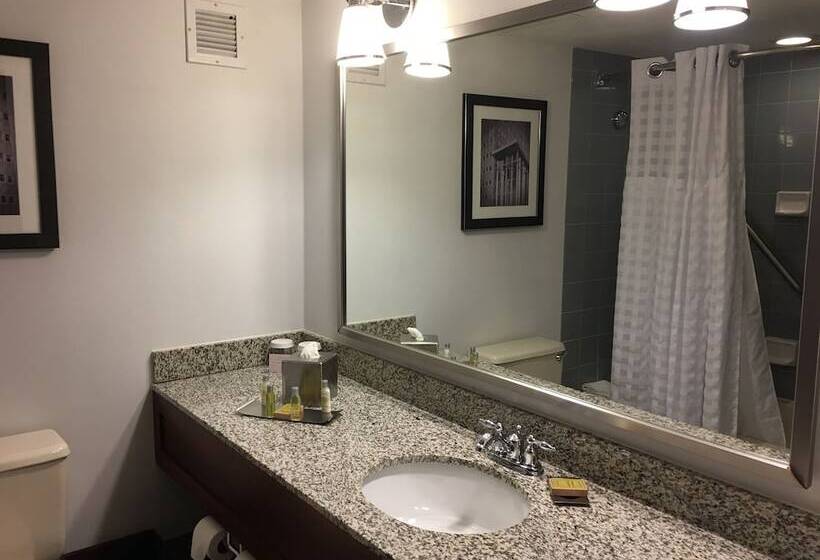 ２ダブルベッドのスタンダードルーム, Doubletree By Hilton  Pittsburghcranberry