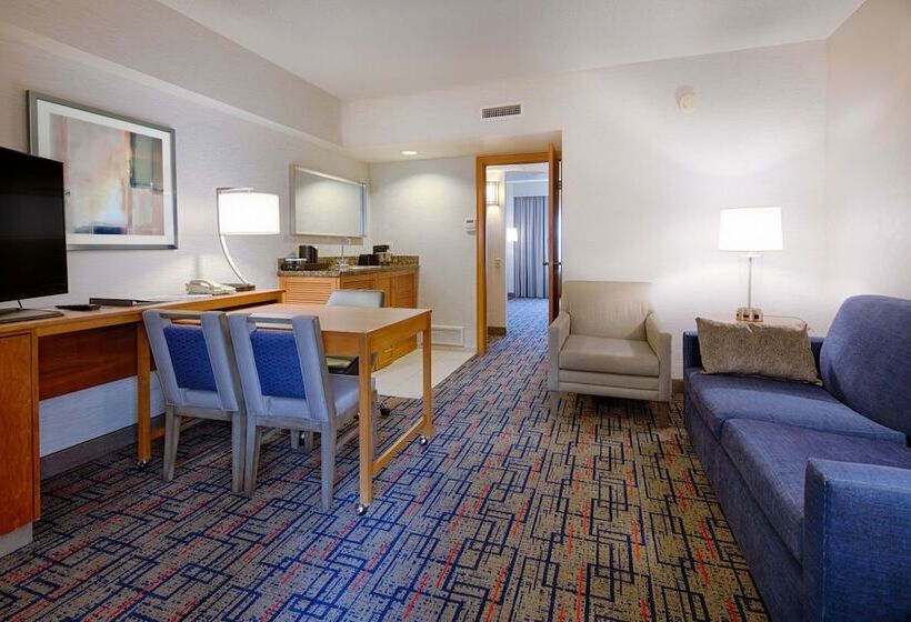 Suite, Embassy Suites By Hilton Chicago O Hare Rosemont