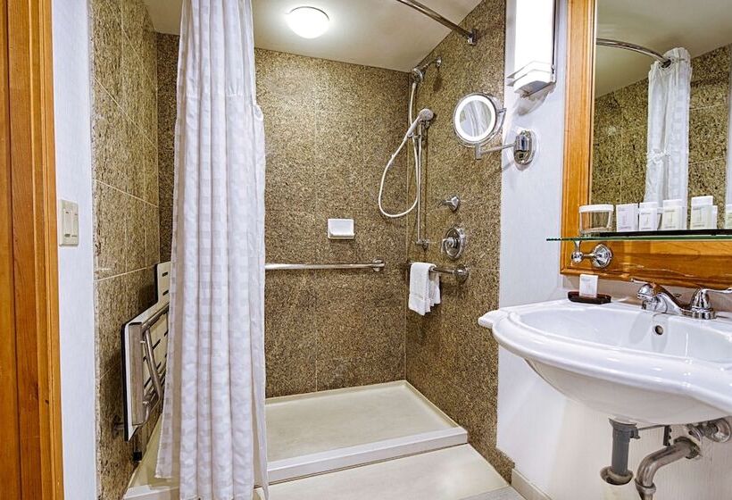Suite Przystosowany dla Osób Niepełnosprawnych, Embassy Suites By Hilton Chicago O Hare Rosemont
