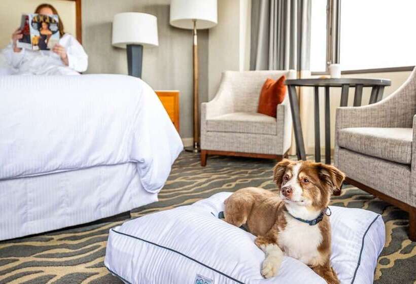 Номер Стандарт 2 Двуспальные Кровати, The Westin St. Francis San Francisco On Union Square