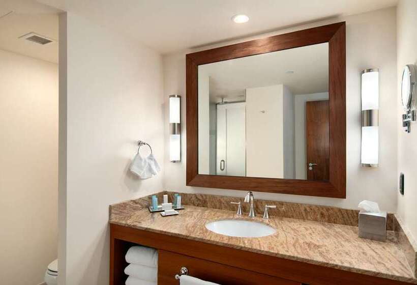 Номер Deluxe Кровать Кинг, Hilton Trinidad & Conference Centre