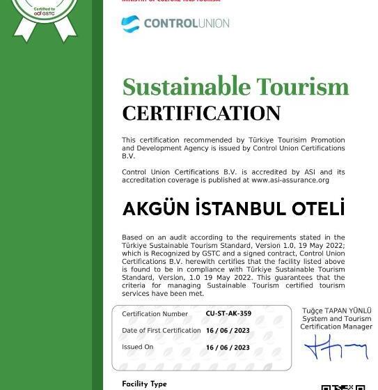 デラックスルーム, Akgun Istanbul