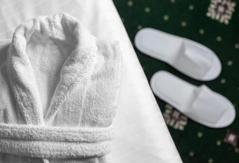 标准单人间, Spa Hotel Villa Smetana