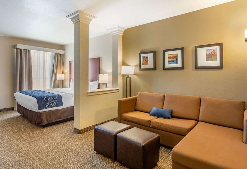סוויטה, Comfort Suites Near Denver Downtown