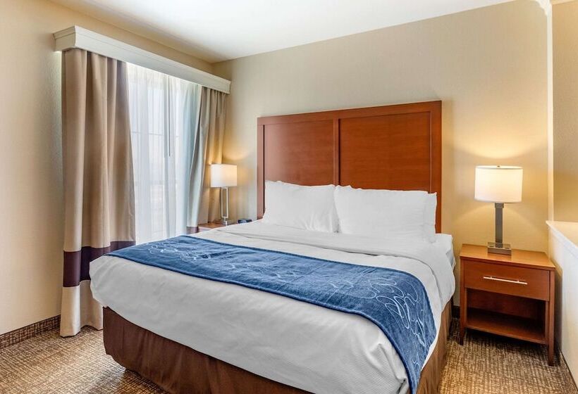 סוויטה עם ג'קוזי, Comfort Suites Near Denver Downtown