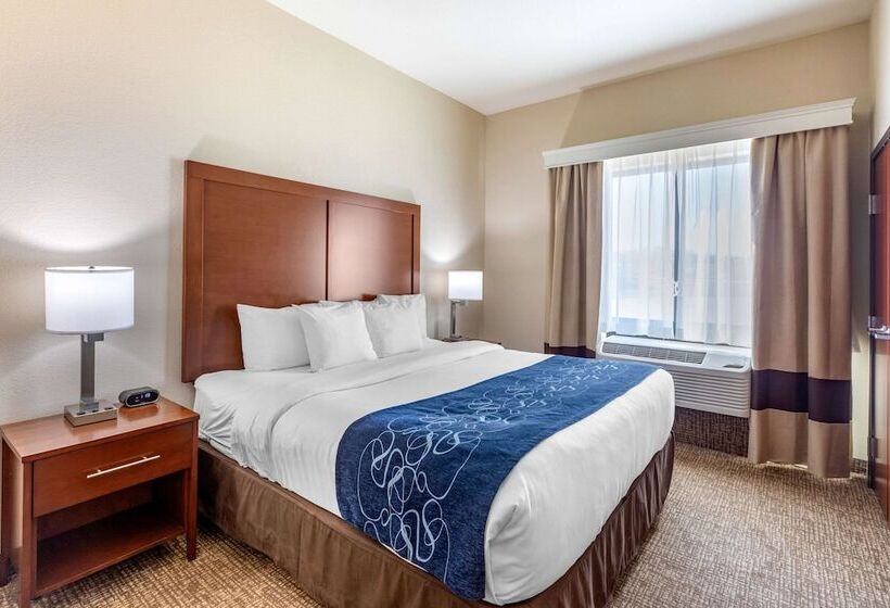 סוויטה מותאמת לאדם עם מוגבלויות, Comfort Suites Near Denver Downtown
