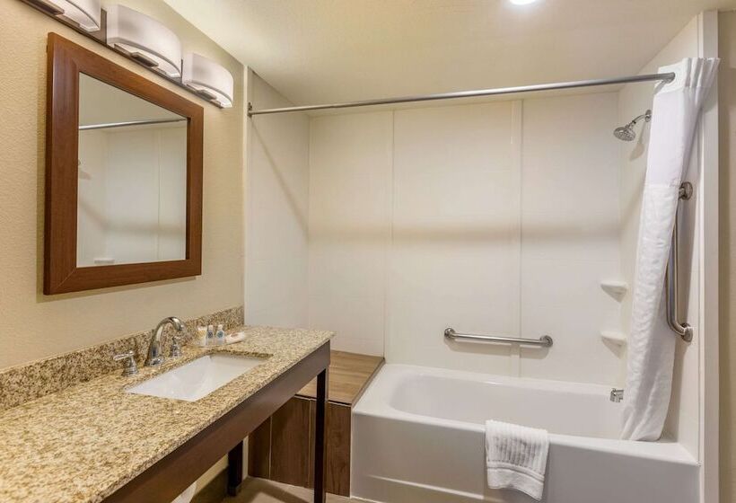 סוויטה מותאמת לאדם עם מוגבלויות, Comfort Suites Near Denver Downtown