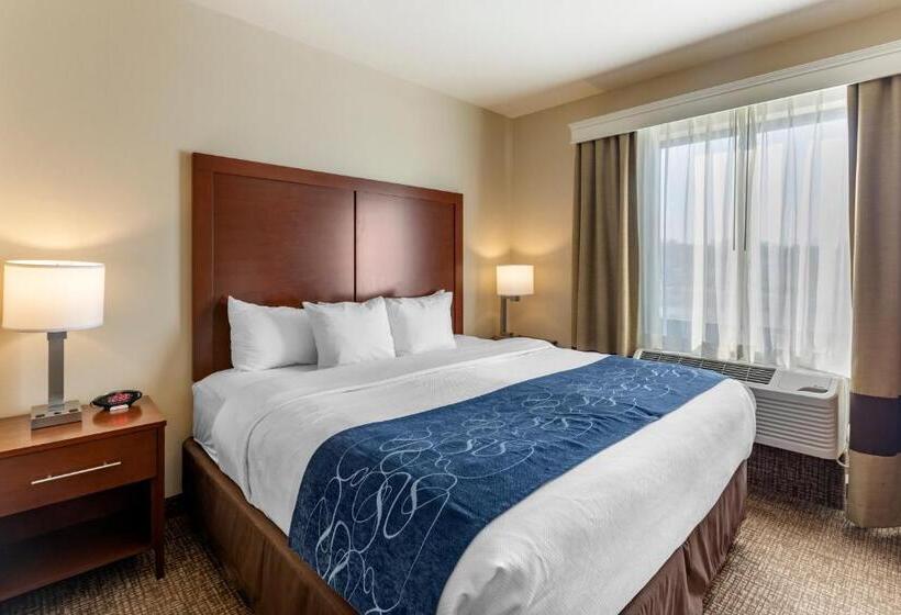 סוויטה, Comfort Suites Near Denver Downtown
