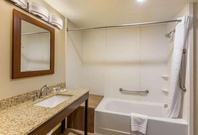 מיטת קינג בסוויטה, Comfort Suites Near Denver Downtown
