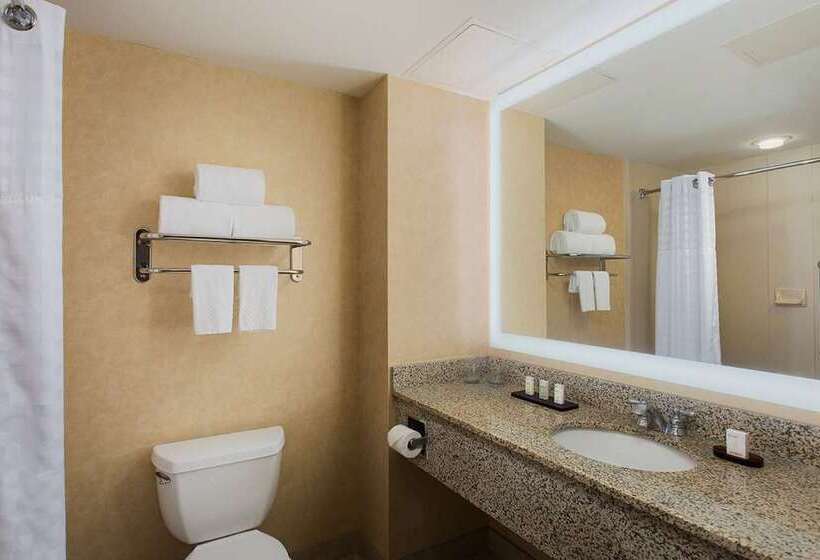 Номер Премиум, Embassy Suites By Hilton Omaha Downtown Old Market