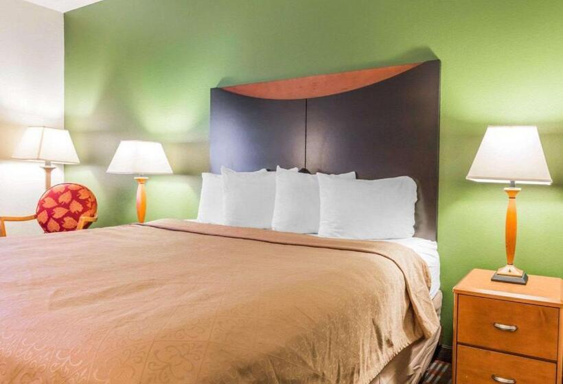 Suite Kingsize Bett, Quality Inn & Suites Birmingham   Highway 280