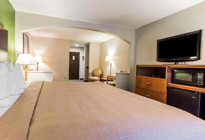 Standardzimmer Kingsize Bett, Quality Inn & Suites Birmingham   Highway 280